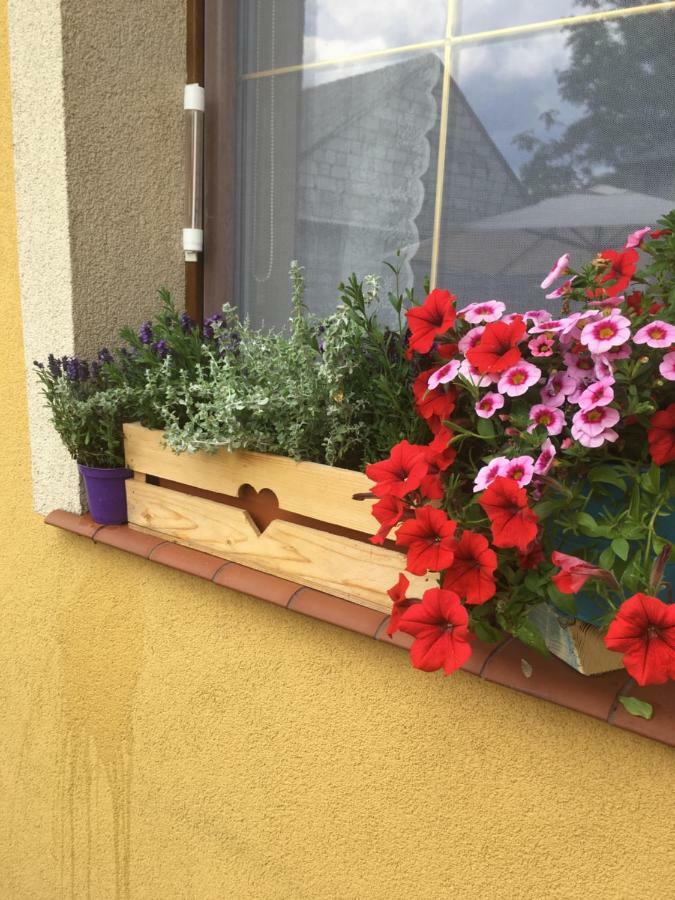 Dom U Ewy Bory Tucholskie Śliwice Kültér fotó